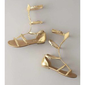 NEW Gladiator Sandals. Size 13/1.